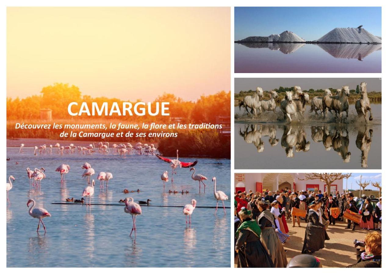 Le Mazet Sooksabai, Confort, Charme Et Decouverte En Petite Camargue Saint-Laurent-dʼAigouze Buitenkant foto
