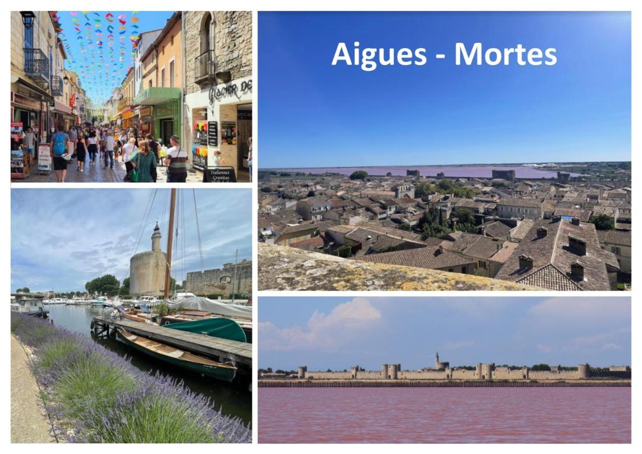 Le Mazet Sooksabai, Confort, Charme Et Decouverte En Petite Camargue Saint-Laurent-dʼAigouze Buitenkant foto